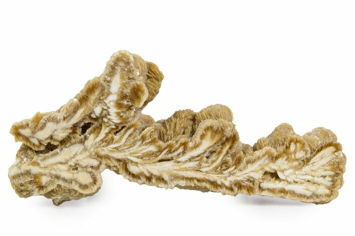 Polished Barite With Pyrite - Lubin Mine, Poland #346201